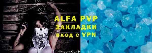 индика Белокуриха