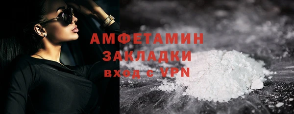 индика Белокуриха