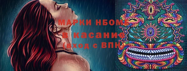 индика Белокуриха