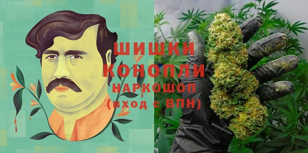 индика Белокуриха