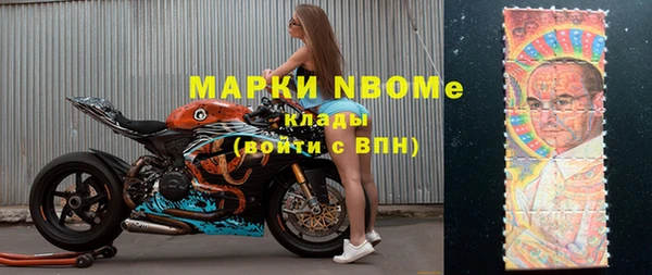 индика Белокуриха