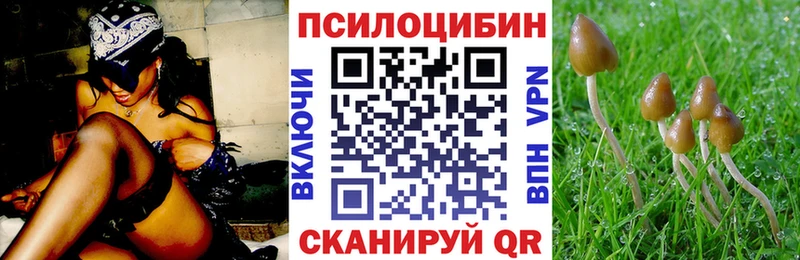 Галлюциногенные грибы Psilocybe  наркошоп  Фёдоровский 